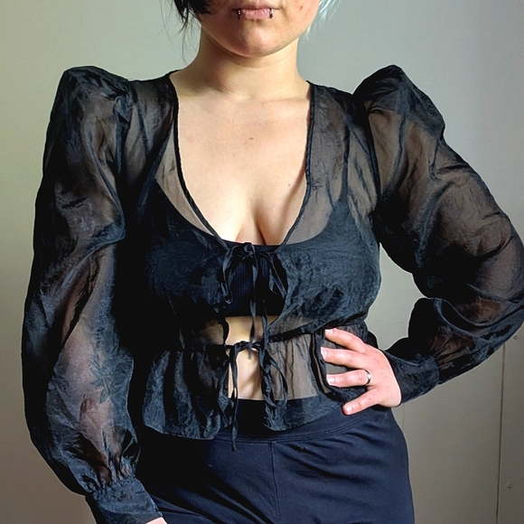 Aritzia Wilfred Black Organza Tie Front Peplum Sheer Canto Blouse - Picture 1 of 14